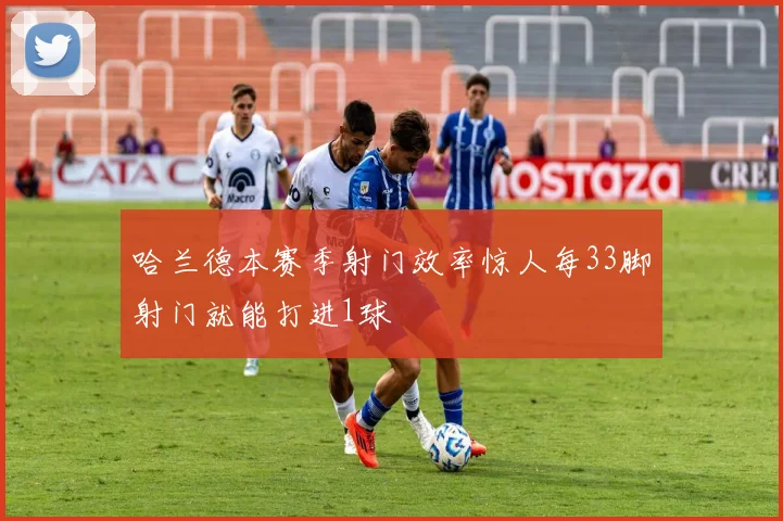 哈兰德本赛季射门效率惊人每33脚射门就能打进1球