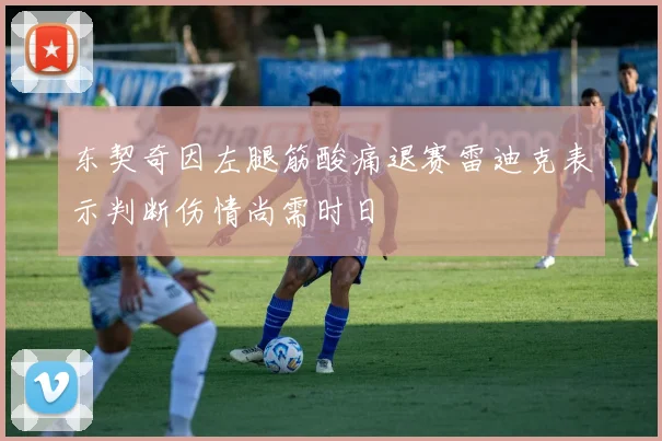 东契奇因左腿筋酸痛退赛雷迪克表示判断伤情尚需时日
