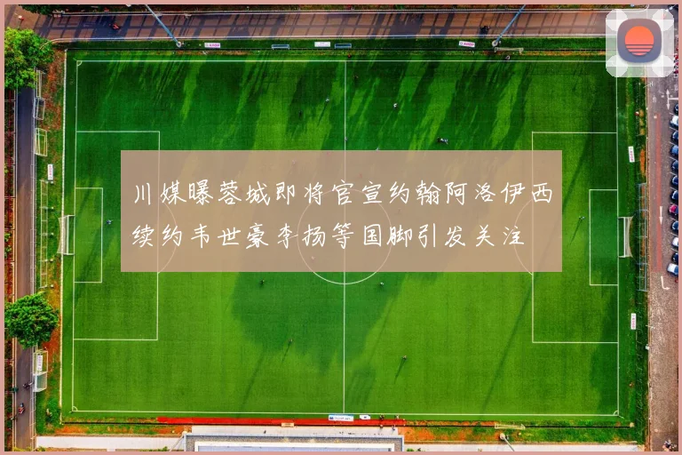 川媒曝蓉城即将官宣约翰阿洛伊西续约韦世豪李扬等国脚引发关注