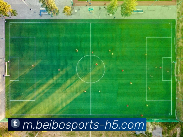 贝博体育平台生态图